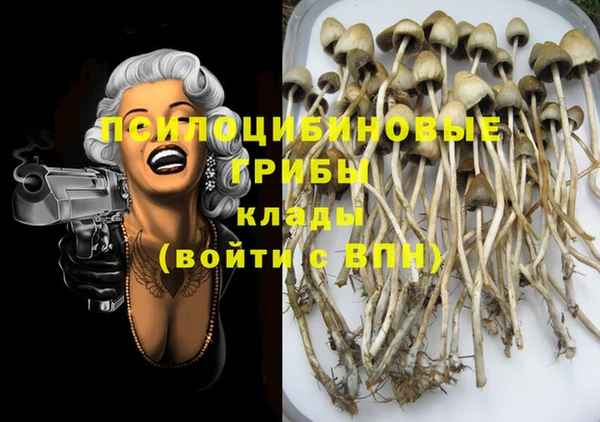 соль курить ск Кукмор