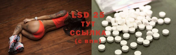 ПСИЛОЦИБИНОВЫЕ ГРИБЫ Фёдоровский