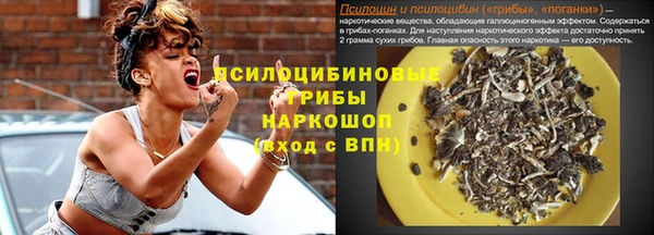 прущие крисы Краснотурьинск