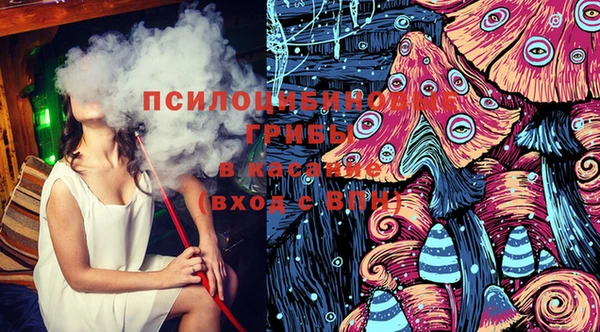 прущие грибы Красноперекопск